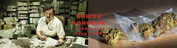 соль ск Абаза