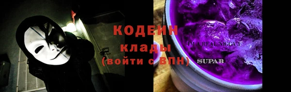 стаф Няндома